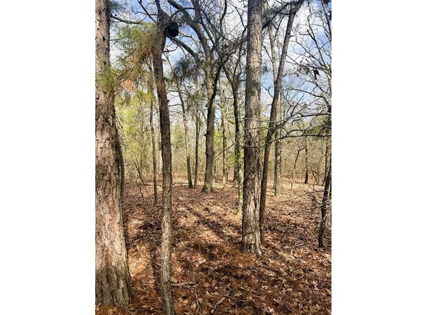 000 Private Road 8000, Winnsboro, TX 75494