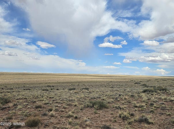 Tbd S Tovar Avenue, Holbrook, AZ 86025