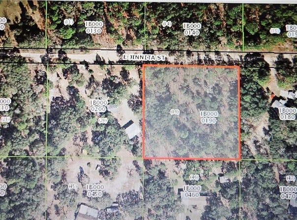 844 E Jinnita Street, Hernando, FL 34442