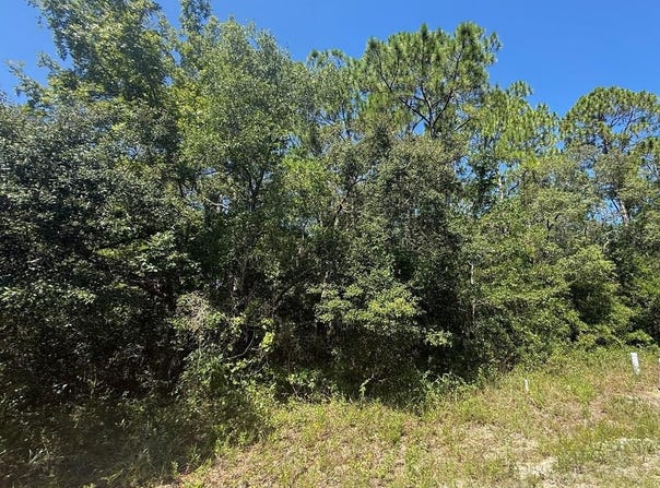 2 Ramsey Way, Panacea, FL 32446