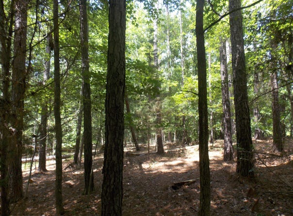 1054 Pine Point Lane, Tignall, GA 30668