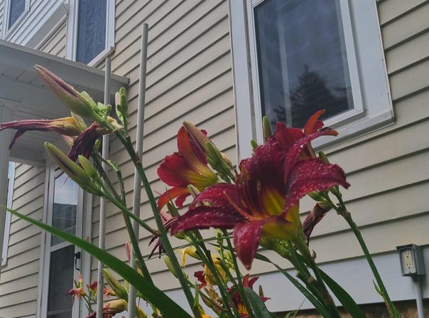 506 W Iowa Street, Monona, IA 52159