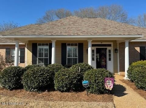 303 Windy Ridge Drive, Brandon, MS 39042