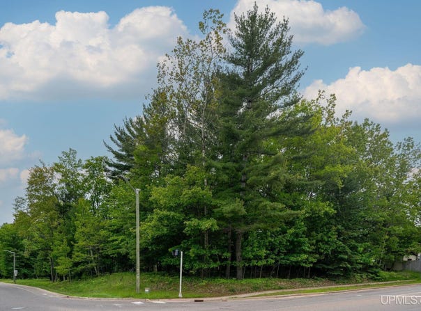 1439 N McClellan, Marquette, MI 49855