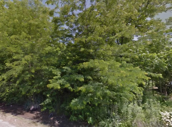 904 Elk Street, Dermott, AR 71638