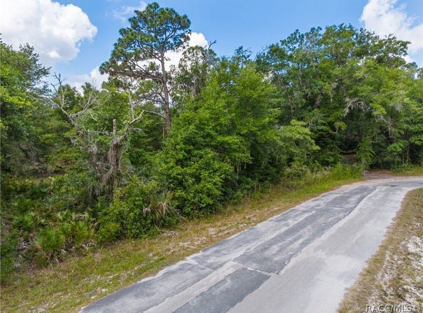 12180 W Olive Tree Lane, Crystal River, FL 34428