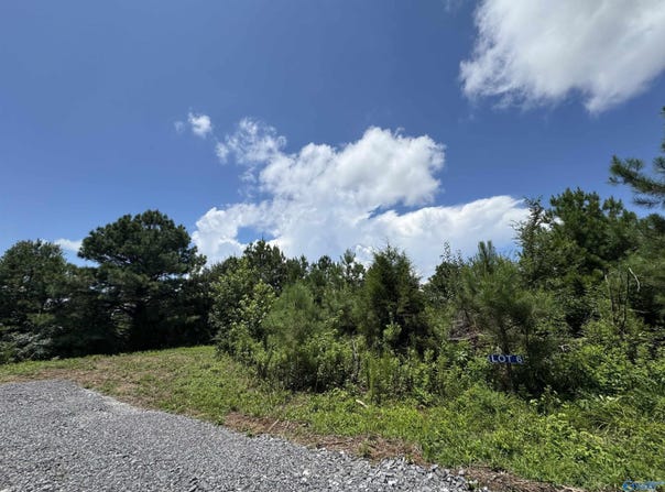 6 Razorback Way, Albertville, AL 35951