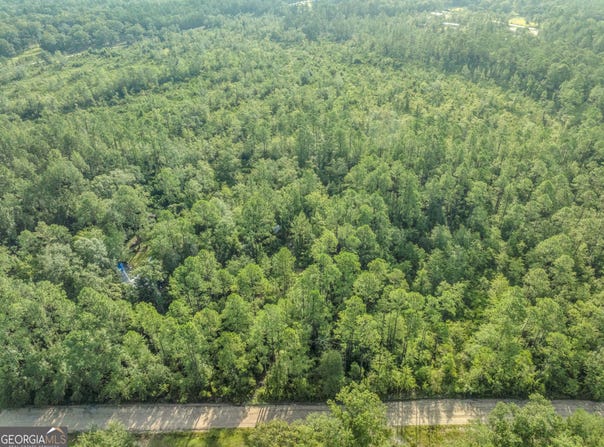0 Rattler, Hortense, GA 31543