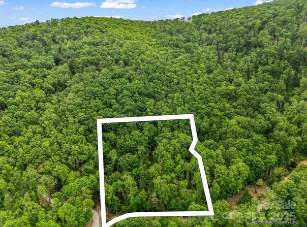 999 Bearwallow Mountain Road, Hendersonville, NC 28792