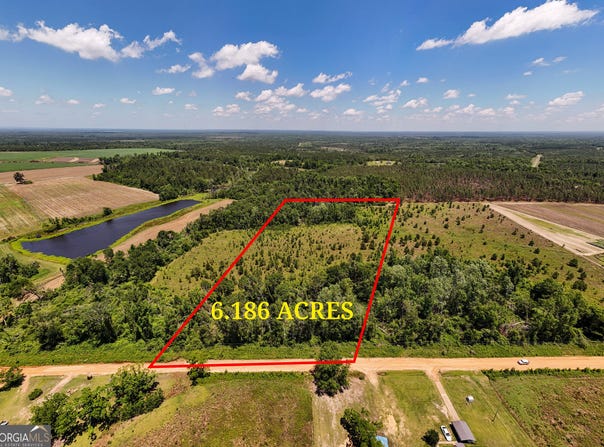 Lot #2 - 6.2 Ac Perry Horton, Adrian, GA 31002