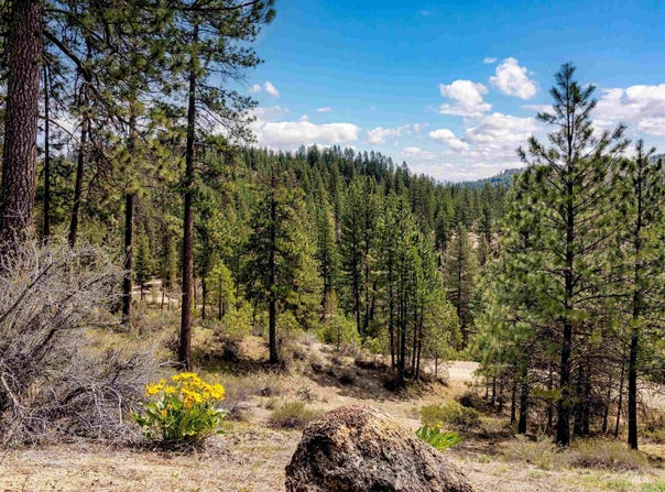 Lot 16 Napias Sub, Boise, ID 83716