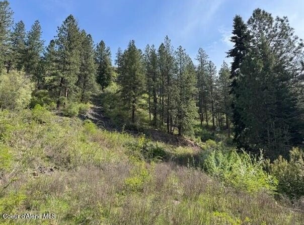 NKA Odessa Lp, St. Maries, ID 83861