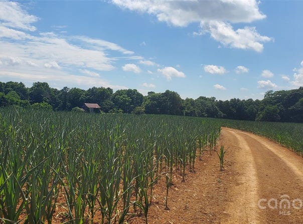 Harbour Lane, Ararat, NC 27017