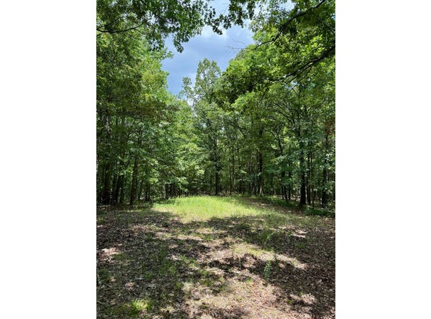 55 County Road 163, Carrollton, MS 38917