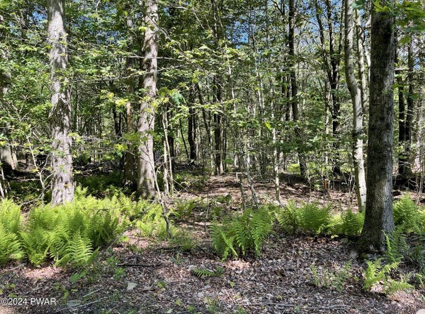 Huckleberry Road, Newfoundland, PA 18445
