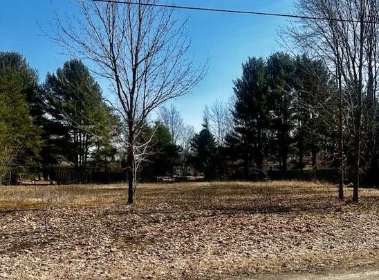 Twelfth Street, Bear Lake, MI 49614