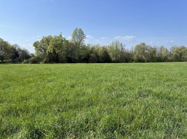 12257 Y-521 Road, Ava, MO 65608