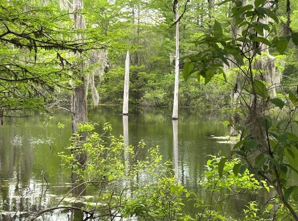3037 Paul Robinson Road, Donalsonville, GA 39845