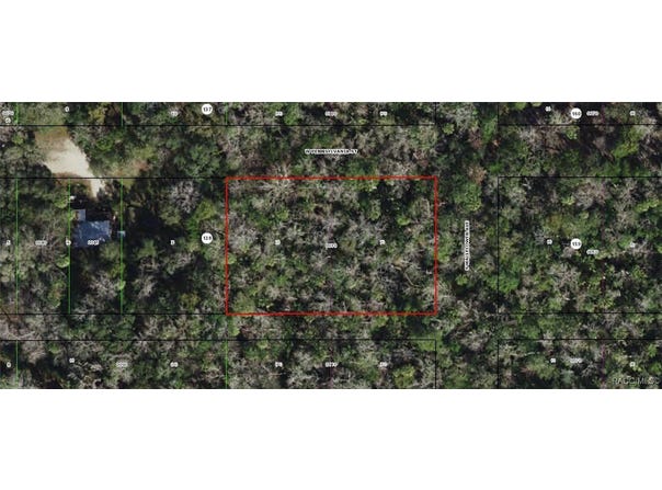 10140 W Pennsylvania Street, Homosassa, FL 34448