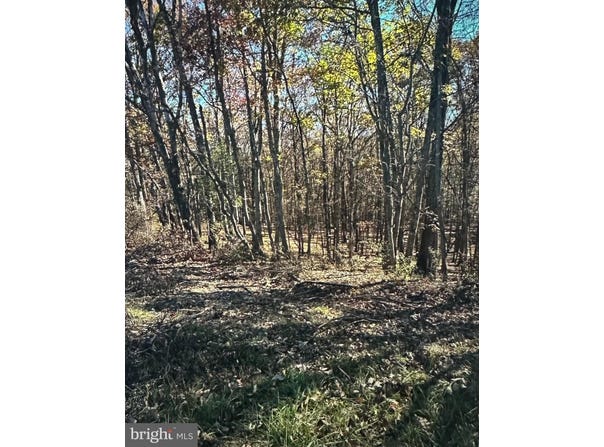 GREEN RIDGE ROAD, FLINTSTONE, MD 21530