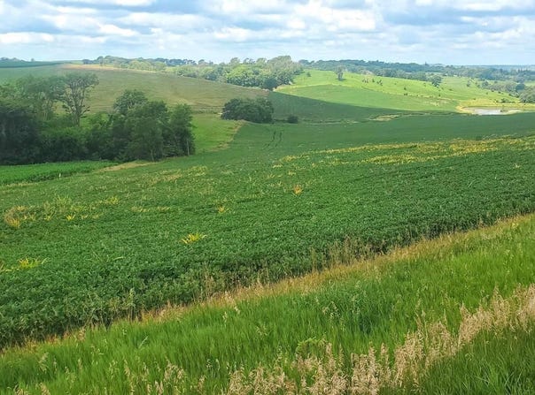 Lot 9 Donna Reed Road, Denison, IA 51442