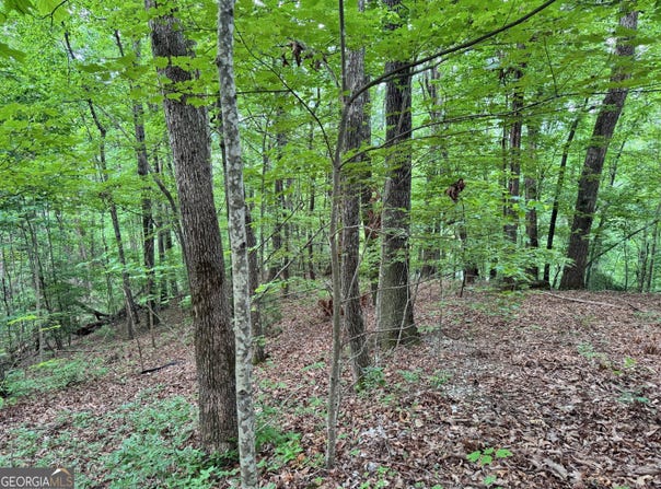 0 Black Bear Den, Clayton, GA 30525