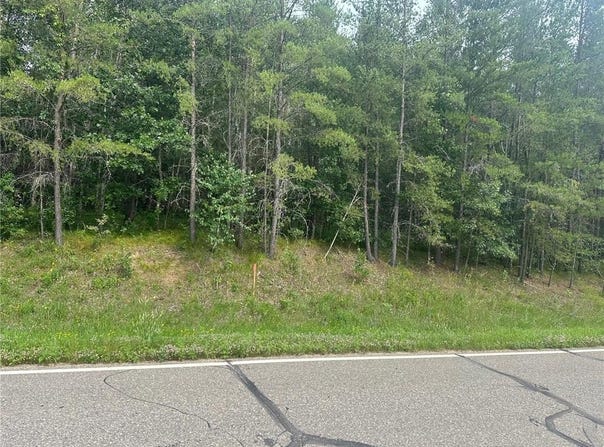 Lot 5 Acre 239th Avenue, Nevis Twp, MN 56467