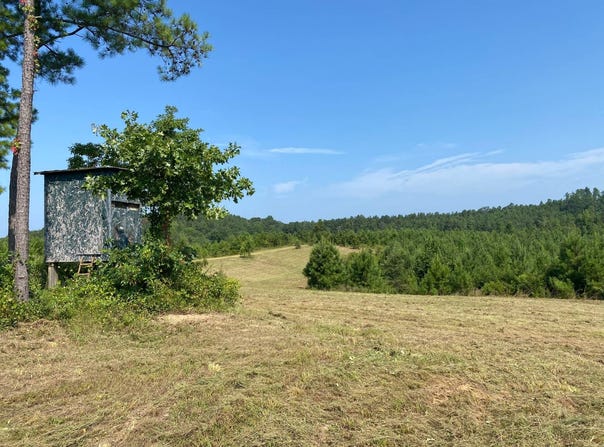 0 Pleasant Ridge Church Road, Fayette, AL 35555