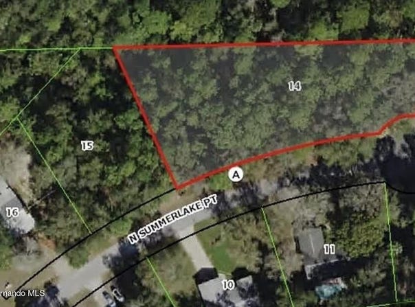 5980 N Summerlake Point, Crystal River, FL 34428