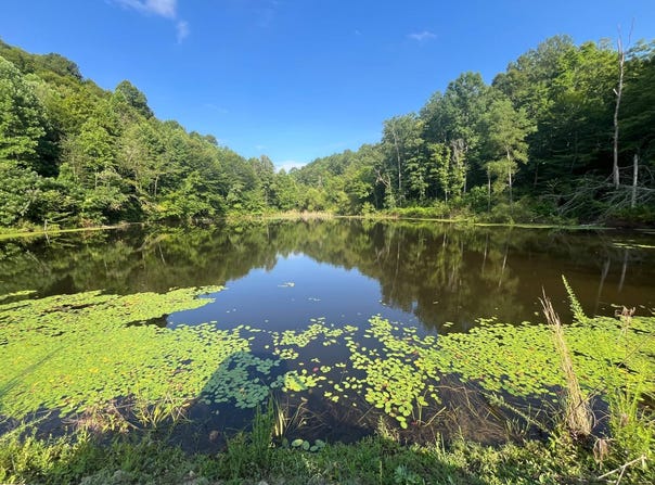 0 Estel Asbury Rd, Columbia, KY 42728