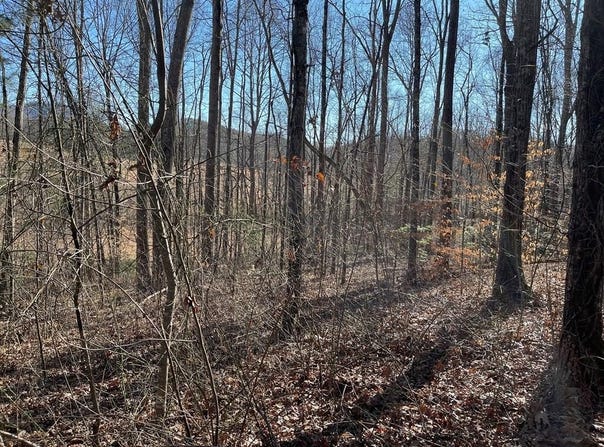 The Woodlands lot: 12E, HAYESVILLE, NC 28904