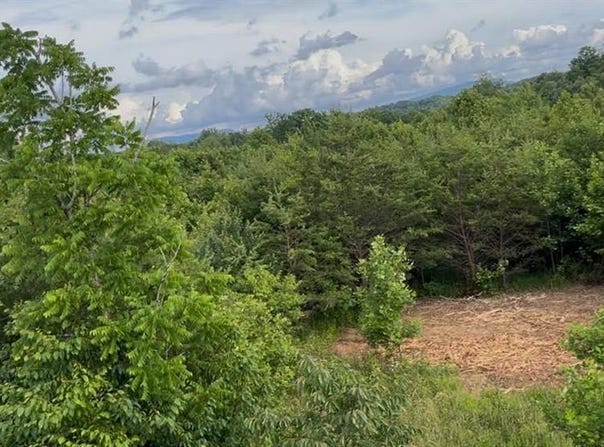 00 Albion Church Road, Mount Airy, NC 27030