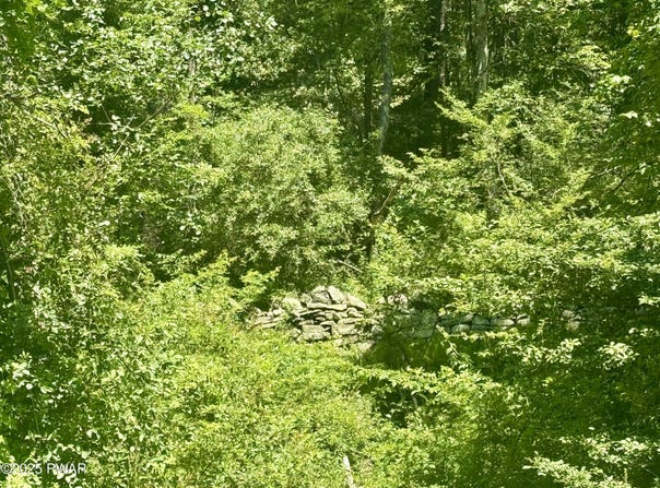 Owego Turnpike (LOT B), Honesdale, PA 18431