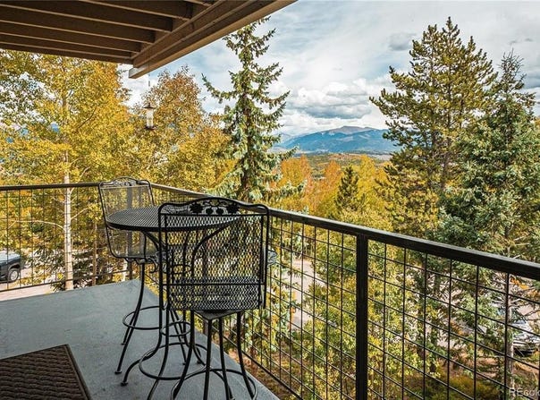 7222 RYAN GULCH ROAD, Silverthorne, CO 80498