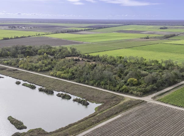 Tbd Highway 1011, Napoleonville, LA 70390