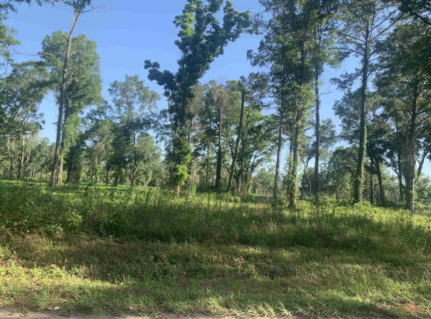 Ben Bostick, Quincy, FL 32351