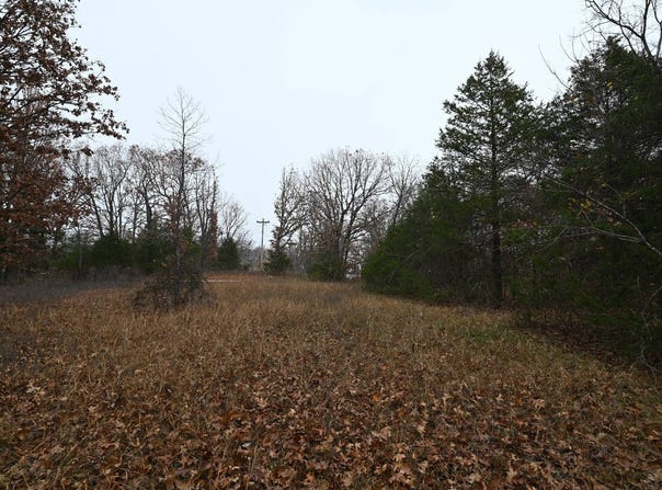 21010 Trailing Vine Rd, Lebanon, MO 65536