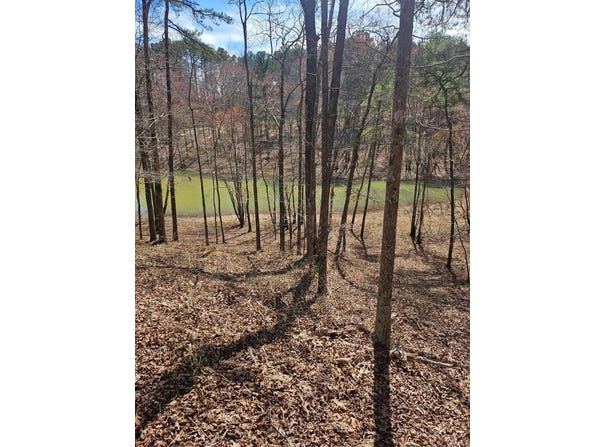LOT 61 SHORESIDE AT SIPSEY, Houston, AL 35572