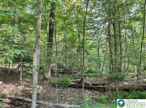 St Moritz Court, Price Twp, PA 18332