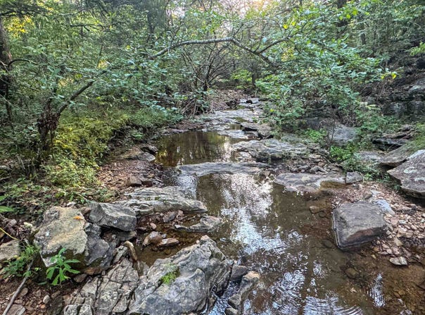 000 Duncan Ln, Poughkeepsie, AR 72569