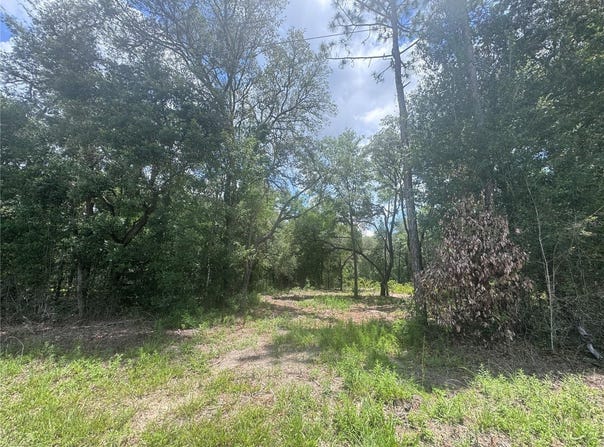 751 NE 139TH Avenue, WILLISTON, FL 32696