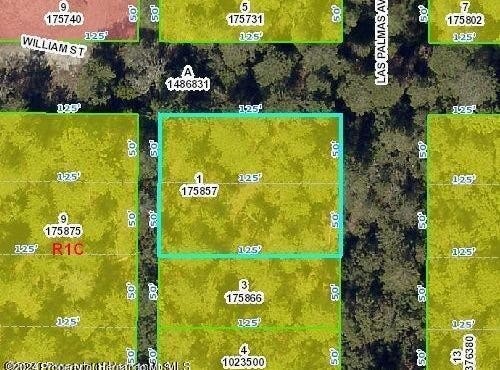 Las Palmas Avenue, Spring Hill, FL 34606