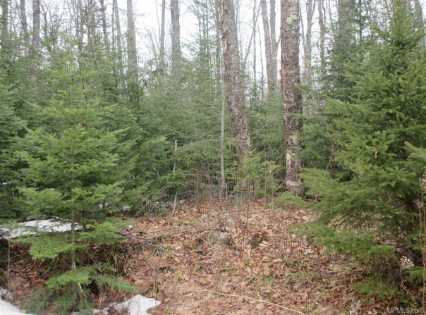 10.4 Acres W Tamarack Lake, Watersmeet, MI 49969