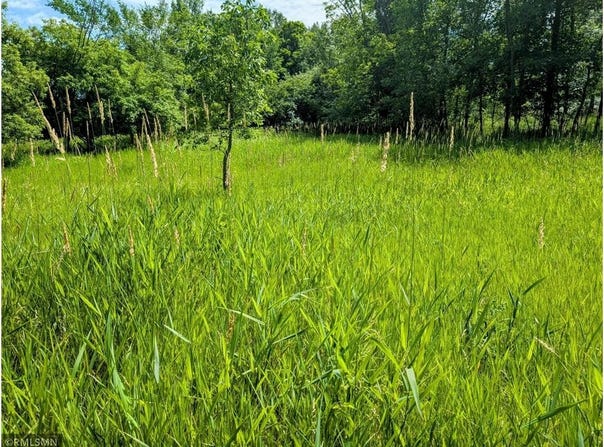 Xxx 3rd Avenue SW, Long Prairie, MN 56347