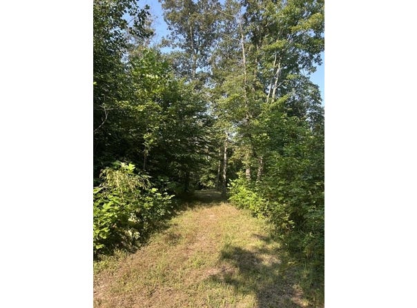 Holly Branch Run Road, Magnolia, KY 42757