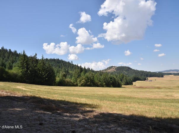 Lot 5 Pebblestone Dr, Plummer, ID 83851