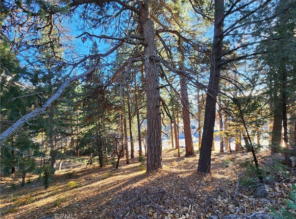 0 Lovers Lane, Rimforest, CA 92378