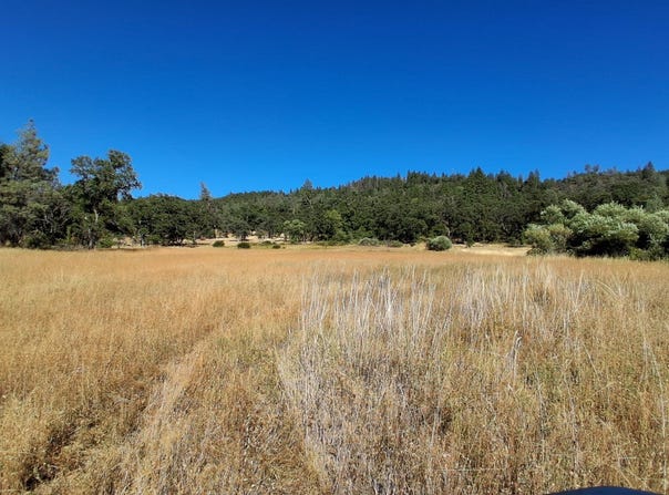 739 Acres Shingletown Ridge, Shingletown, CA 96088