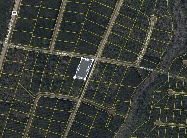 V/L 41 Fox, Waynesville, GA 31566