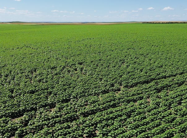 TBD Co Hwy 15, Presho, SD 57568